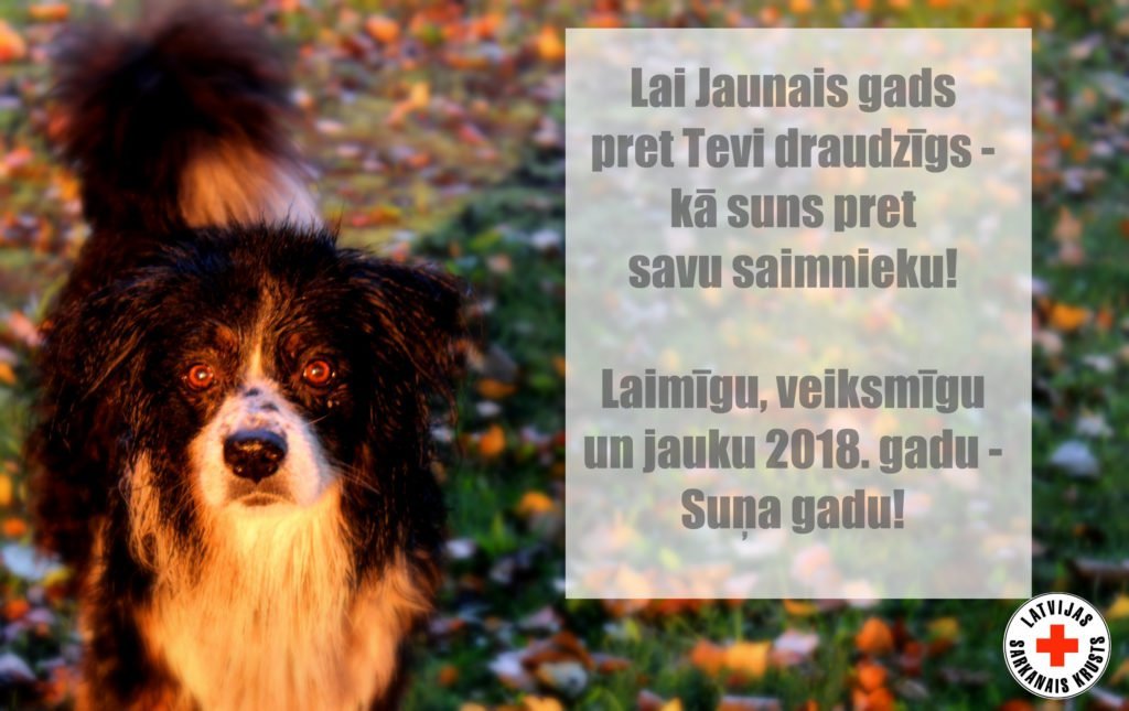 Laimīgu Jauno gadu!!